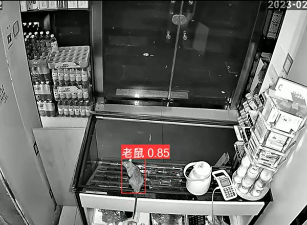 智能老鼠識別算法 智能老鼠識別算法